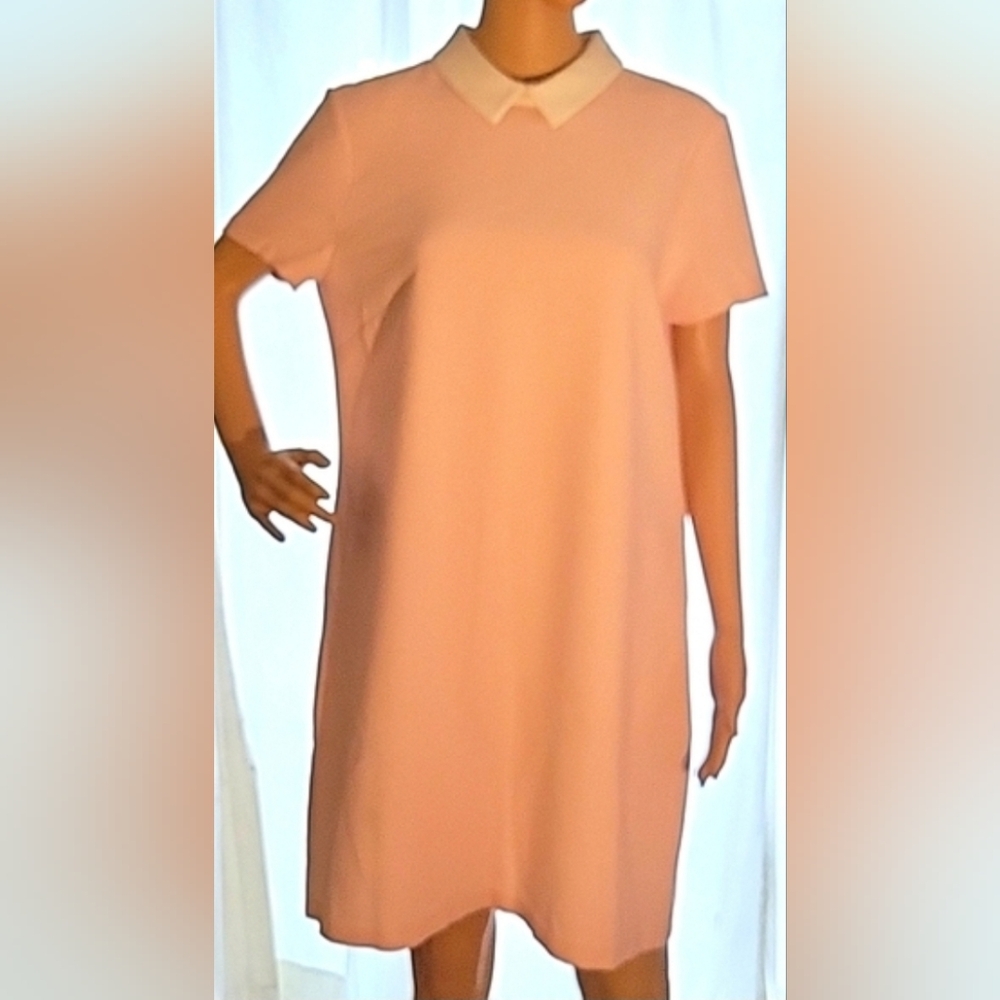 Women's Dress Size 42